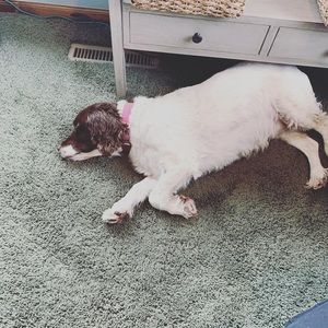 Meet your Posher, Stacy